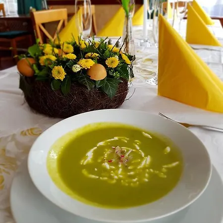 U Berounky Hotel Srbsko